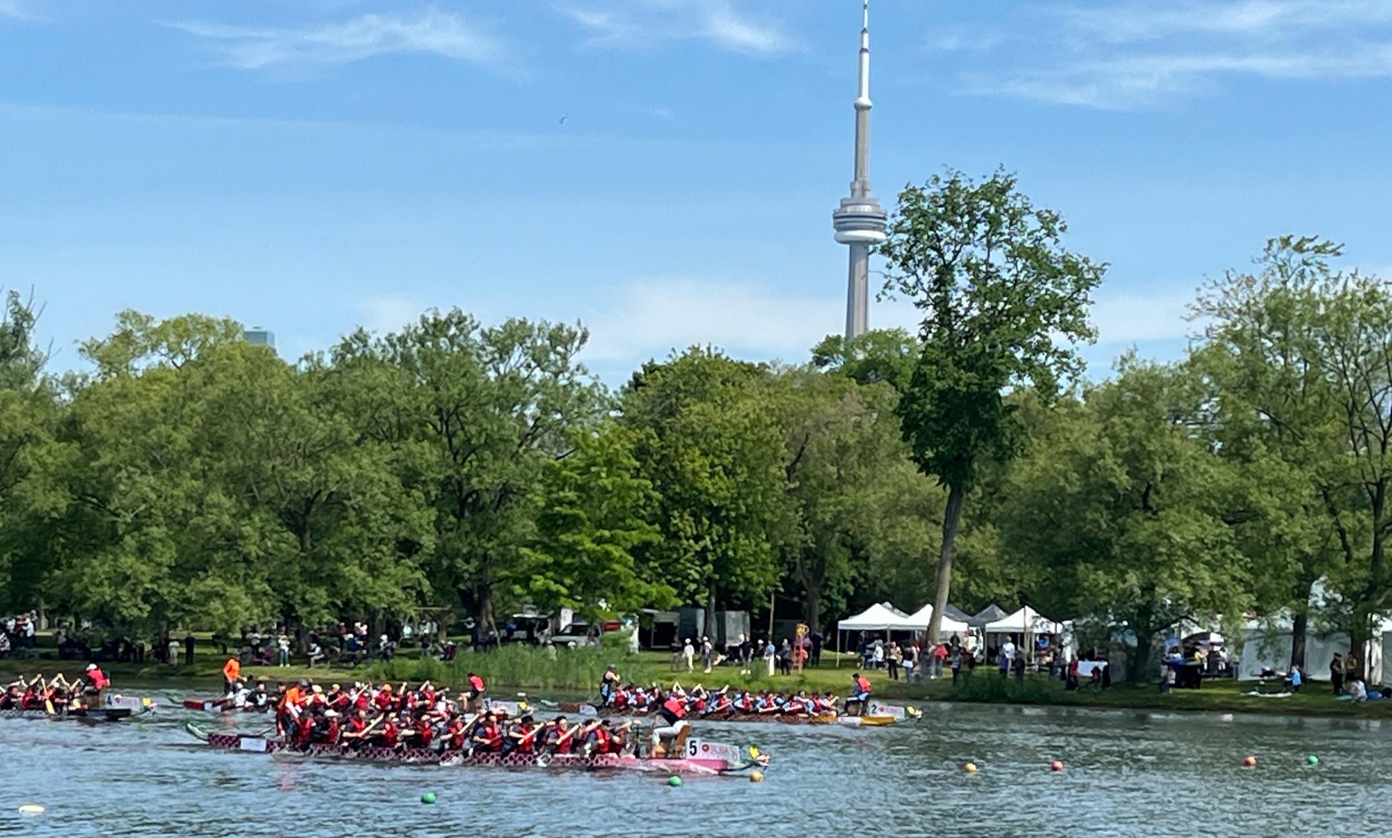 Supported by the Hong Kong Economic and Trade Office (Toronto), the 37th Toronto International Dragon Boat Race Festival was held on the Centre Island of Toronto, Canada, on June 14 and 15. Photo shows dragon boats racing at the Festival.