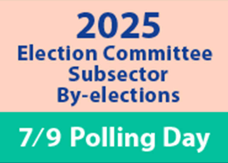 2025 Election Committee Subsector By-elections